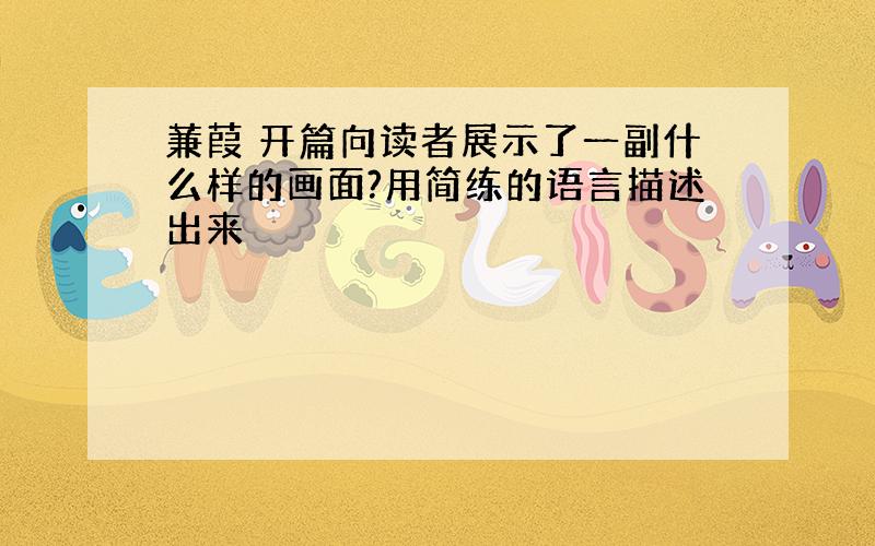 蒹葭 开篇向读者展示了一副什么样的画面?用简练的语言描述出来