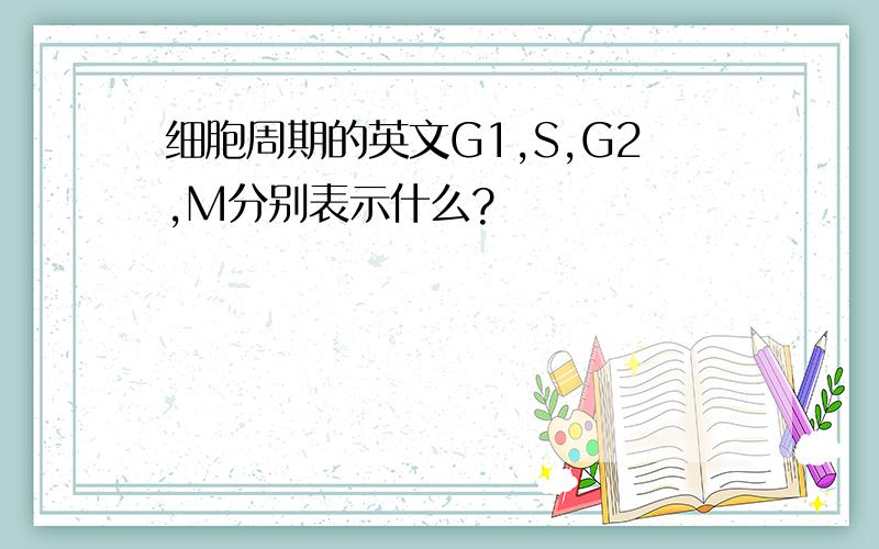 细胞周期的英文G1,S,G2,M分别表示什么?