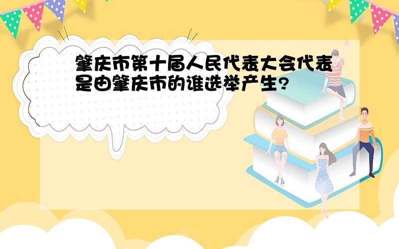 肇庆市第十届人民代表大会代表是由肇庆市的谁选举产生?