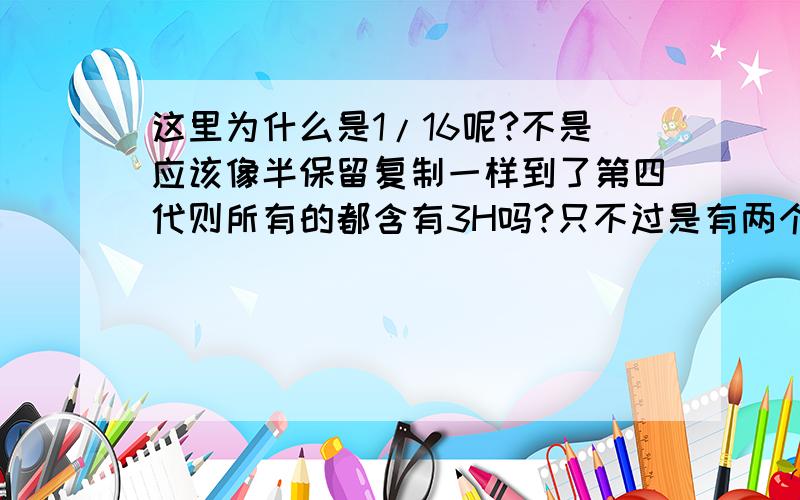 这里为什么是1/16呢?不是应该像半保留复制一样到了第四代则所有的都含有3H吗?只不过是有两个DNA是一半有3H一半没有