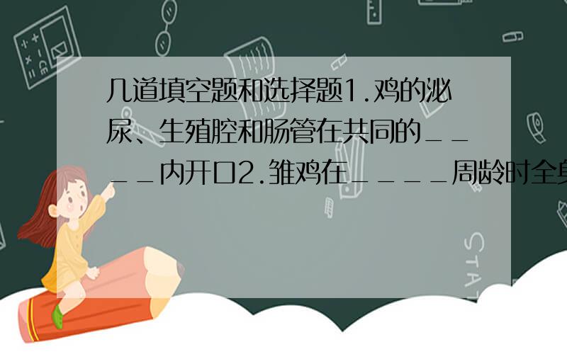 几道填空题和选择题1.鸡的泌尿、生殖腔和肠管在共同的____内开口2.雏鸡在____周龄时全身绒毛脱换成羽毛,并在___