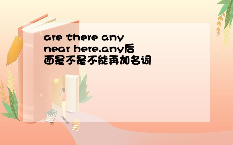 are there any near here.any后面是不是不能再加名词