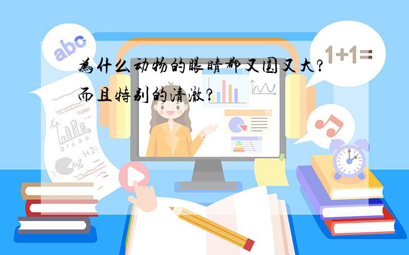 为什么动物的眼睛都又圆又大?而且特别的清澈?