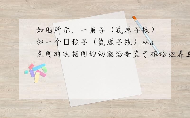 如图所示，一质子（氢原子核）和一个α粒子（氦原子核）从a点同时以相同的动能沿垂直于磁场边界且垂直于磁场方向射入宽度为d的