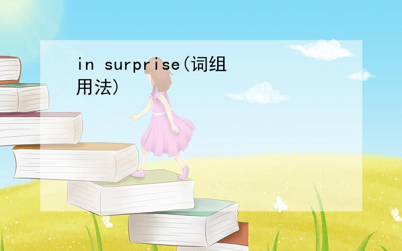 in surprise(词组用法)