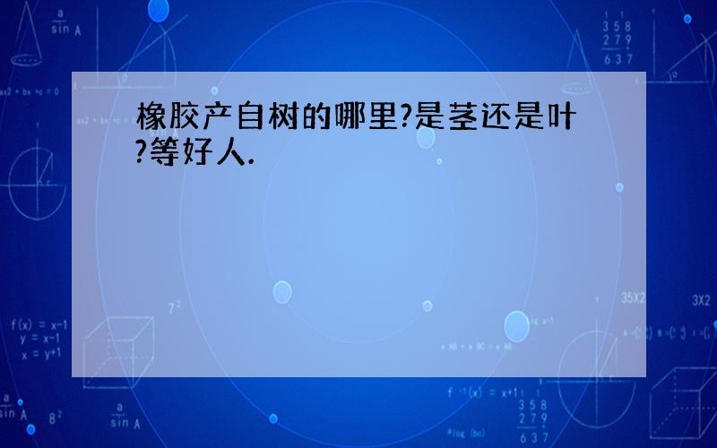 橡胶产自树的哪里?是茎还是叶?等好人.