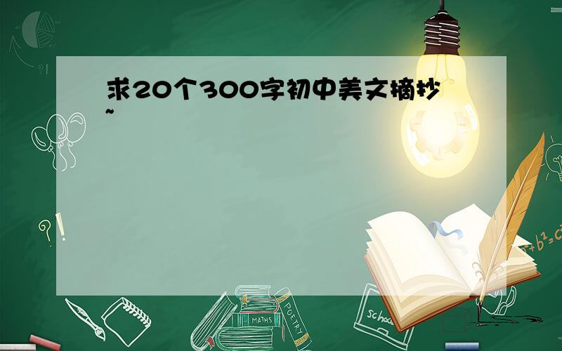 求20个300字初中美文摘抄~