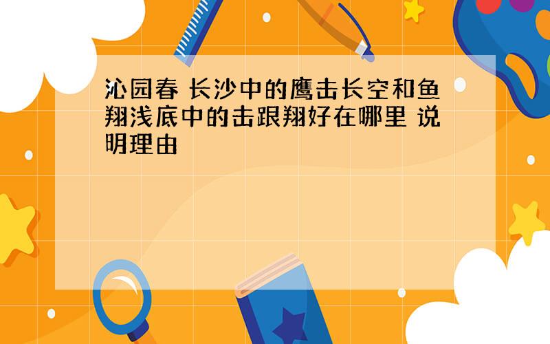 沁园春 长沙中的鹰击长空和鱼翔浅底中的击跟翔好在哪里 说明理由