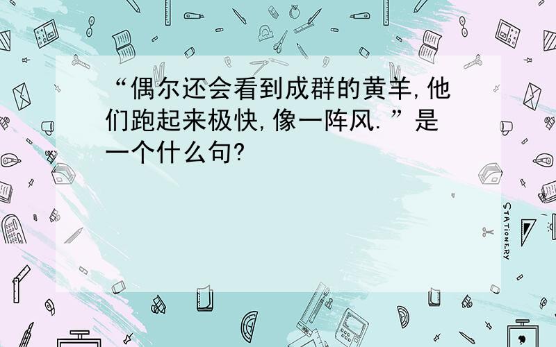 “偶尔还会看到成群的黄羊,他们跑起来极快,像一阵风.”是一个什么句?