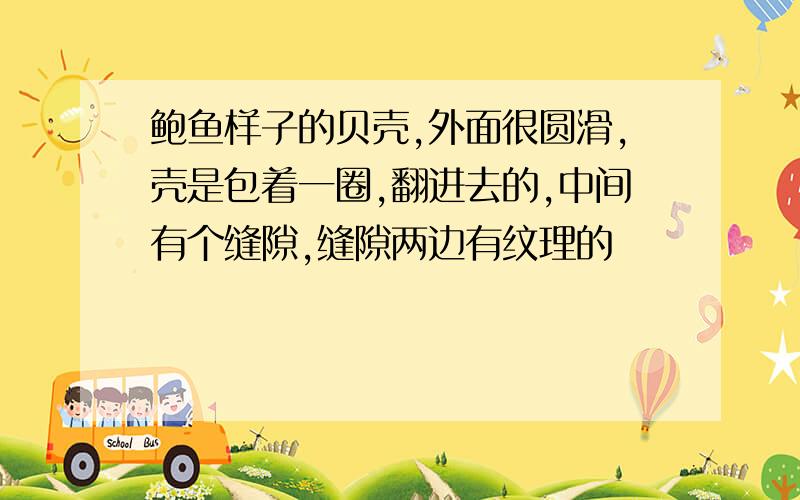 鲍鱼样子的贝壳,外面很圆滑,壳是包着一圈,翻进去的,中间有个缝隙,缝隙两边有纹理的