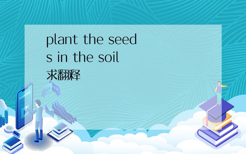 plant the seeds in the soil 求翻释