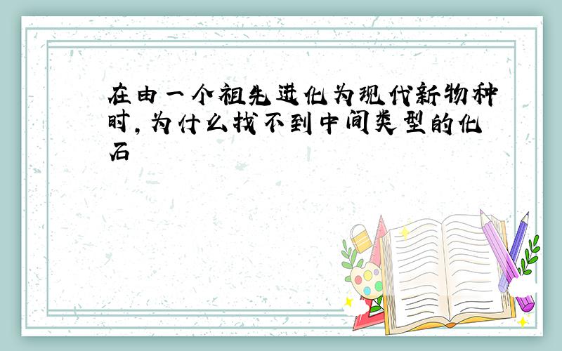 在由一个祖先进化为现代新物种时,为什么找不到中间类型的化石