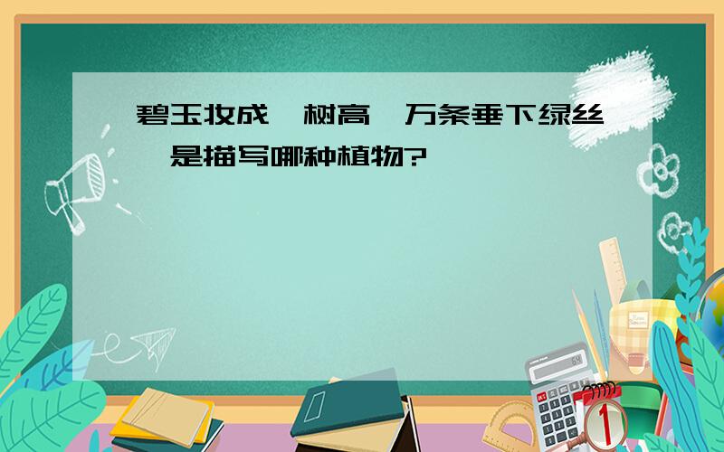 碧玉妆成一树高,万条垂下绿丝绦是描写哪种植物?