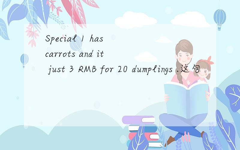 Special 1 has carrots and it just 3 RMB for 20 dumplings .这句