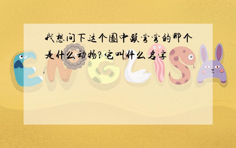 我想问下这个图中头弯弯的那个是什么动物?它叫什么名字