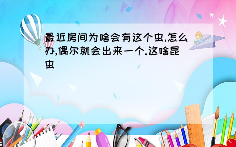 最近房间为啥会有这个虫,怎么办,偶尔就会出来一个.这啥昆虫