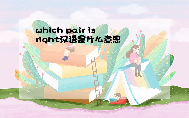 which pair is right汉语是什么意思