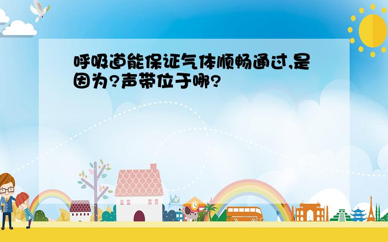 呼吸道能保证气体顺畅通过,是因为?声带位于哪?