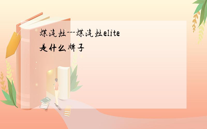 煤汽灶---煤汽灶elite是什么牌子