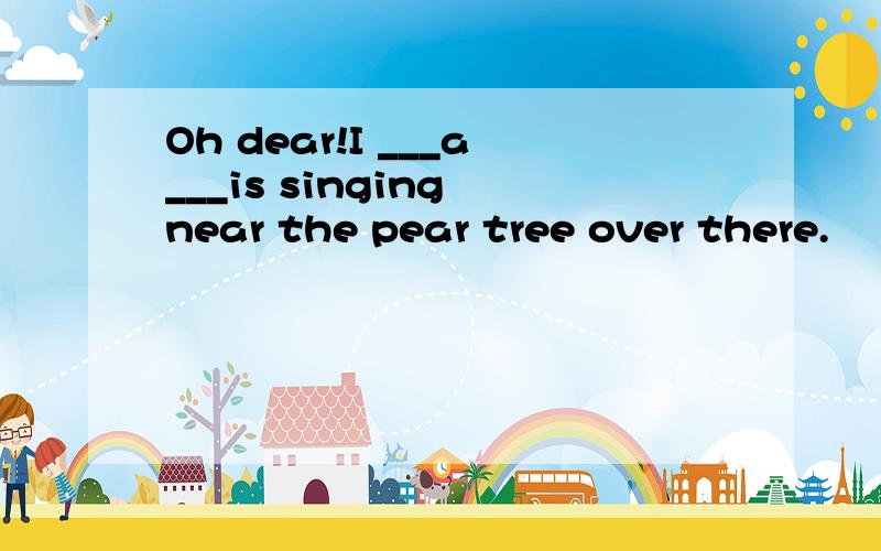 Oh dear!I ___a___is singing near the pear tree over there.