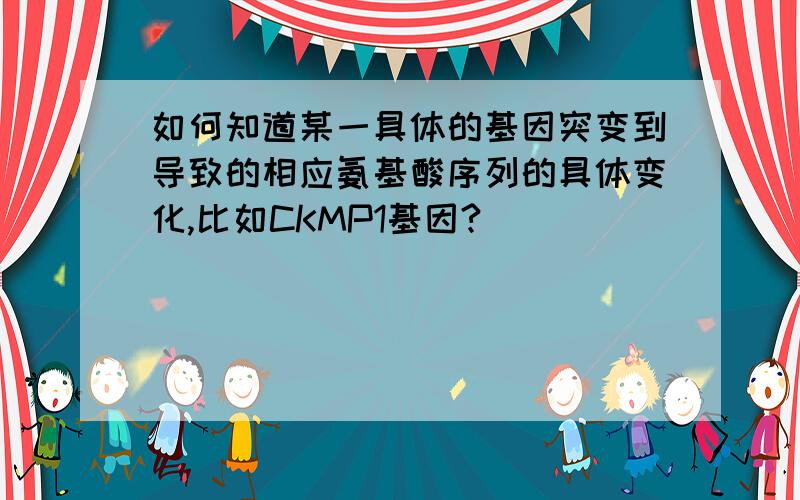 如何知道某一具体的基因突变到导致的相应氨基酸序列的具体变化,比如CKMP1基因?