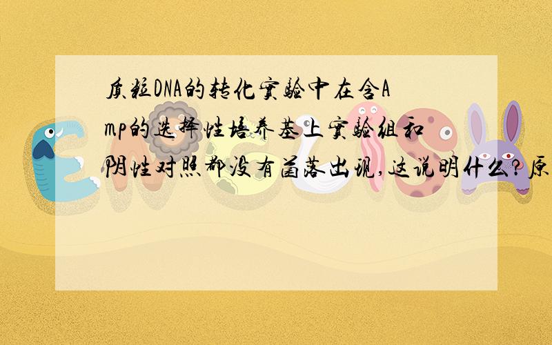 质粒DNA的转化实验中在含Amp的选择性培养基上实验组和阴性对照都没有菌落出现,这说明什么?原因是什么