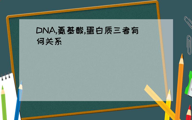 DNA,氨基酸,蛋白质三者有何关系