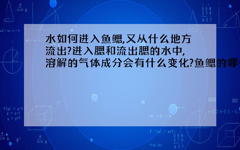 水如何进入鱼鳃,又从什么地方流出?进入腮和流出腮的水中,溶解的气体成分会有什么变化?鱼鳃的哪些特点对水中是至关重要的?