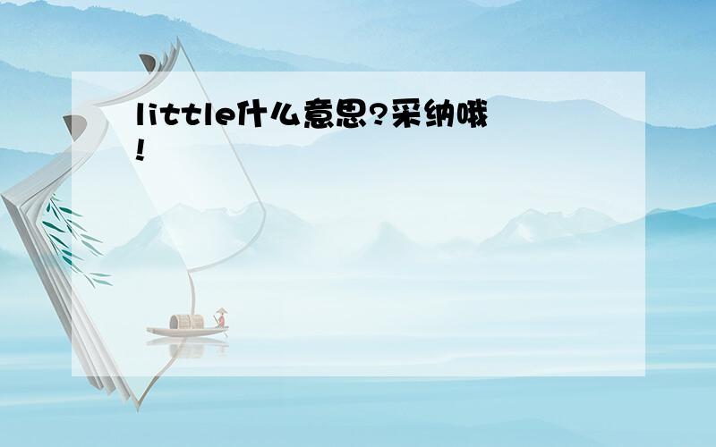 little什么意思?采纳哦!