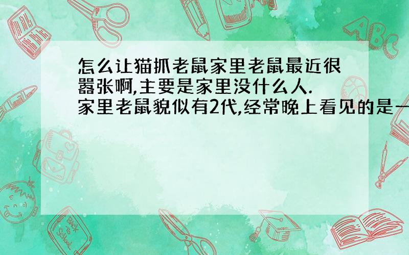 怎么让猫抓老鼠家里老鼠最近很嚣张啊,主要是家里没什么人.家里老鼠貌似有2代,经常晚上看见的是一些很小的老鼠在家里逛,应该