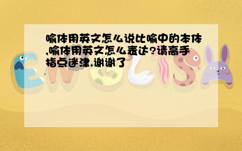 喻体用英文怎么说比喻中的本体,喻体用英文怎么表达?请高手指点迷津.谢谢了