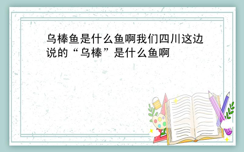 乌棒鱼是什么鱼啊我们四川这边说的“乌棒”是什么鱼啊