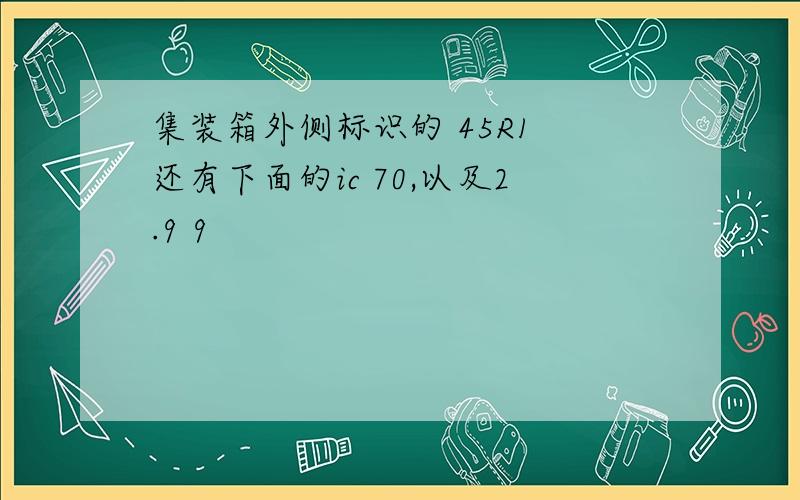 集装箱外侧标识的 45R1 还有下面的ic 70,以及2.9 9