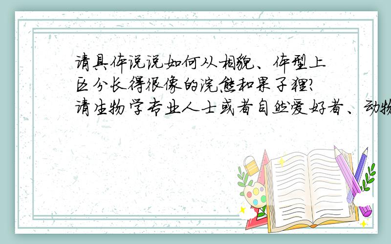 请具体说说如何从相貌、体型上区分长得很像的浣熊和果子狸?请生物学专业人士或者自然爱好者、动物饲养实践者回答.