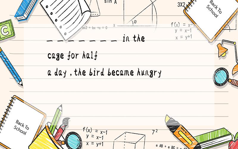 _______ in the cage for half a day ,the bird became hungry