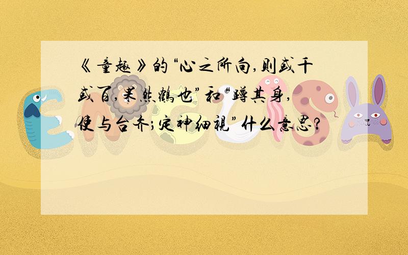 《童趣》的“心之所向,则或千或百,果然鹤也”和“蹲其身,使与台齐；定神细视”什么意思?