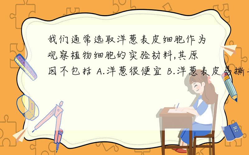 我们通常选取洋葱表皮细胞作为观察植物细胞的实验材料,其原因不包括 A.洋葱很便宜 B.洋葱表皮易撕去