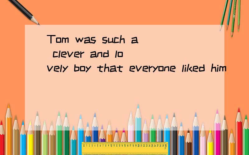 Tom was such a clever and lovely boy that everyone liked him