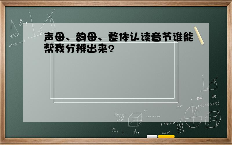 声母、韵母、整体认读音节谁能帮我分辨出来?