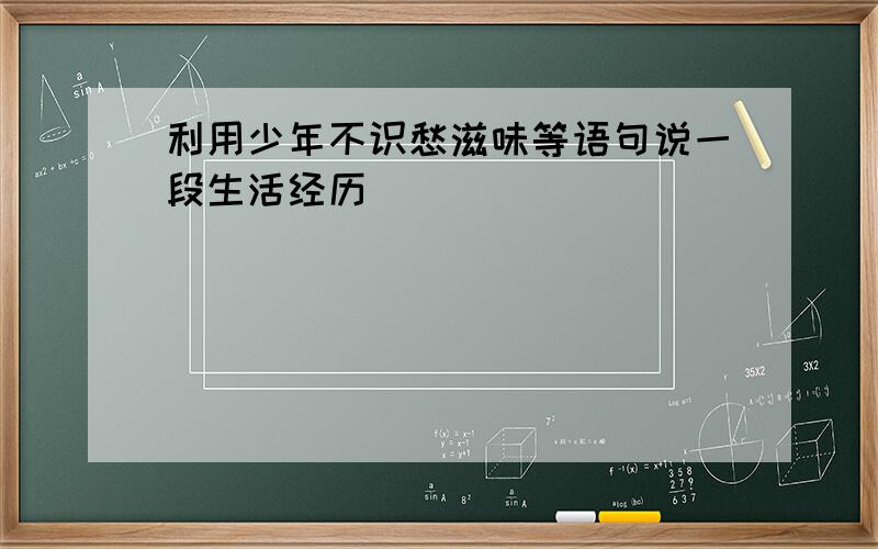 利用少年不识愁滋味等语句说一段生活经历