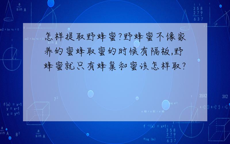 怎样提取野蜂蜜?野蜂蜜不像家养的蜜蜂取蜜的时候有隔板,野蜂蜜就只有蜂巢和蜜该怎样取?