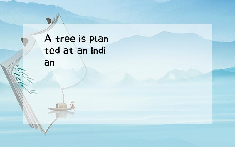 A tree is planted at an Indian