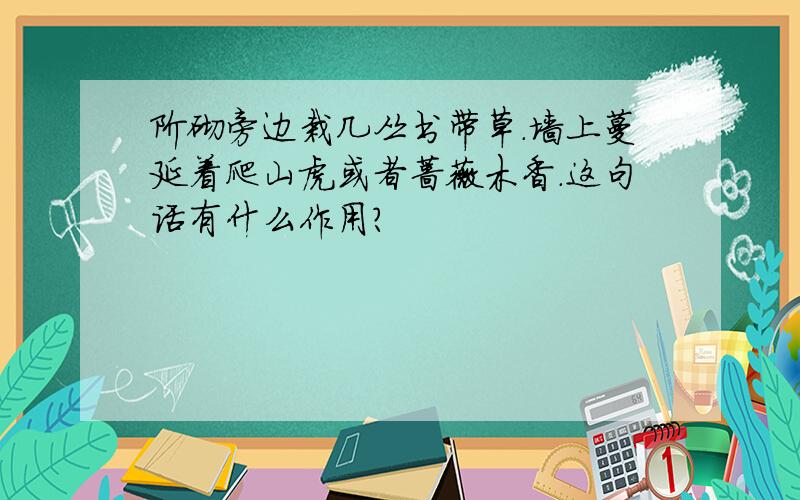 阶砌旁边栽几丛书带草.墙上蔓延着爬山虎或者蔷薇木香.这句话有什么作用?