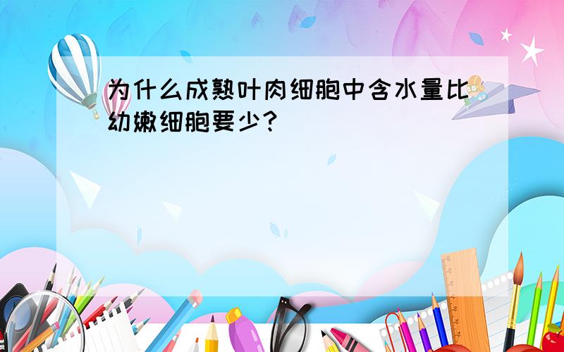 为什么成熟叶肉细胞中含水量比幼嫩细胞要少?