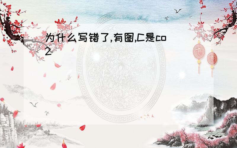 为什么写错了,有图,C是co2