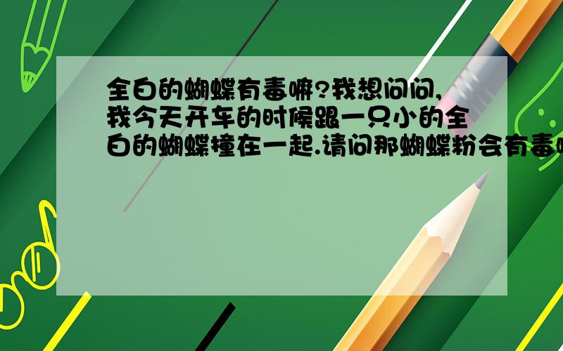 全白的蝴蝶有毒嘛?我想问问,我今天开车的时候跟一只小的全白的蝴蝶撞在一起.请问那蝴蝶粉会有毒嘛?不过这种蝴蝶只是我们那裏