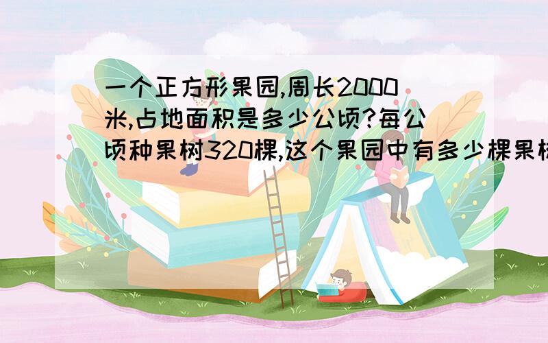 一个正方形果园,周长2000米,占地面积是多少公顷?每公顷种果树320棵,这个果园中有多少棵果树