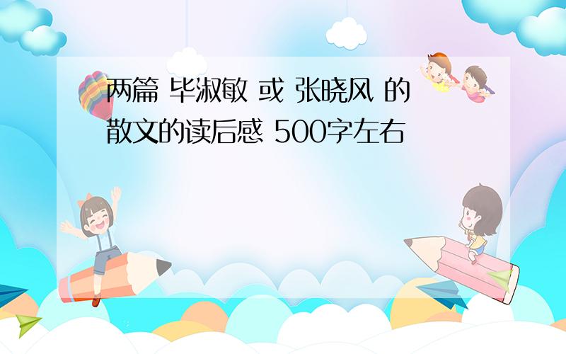 两篇 毕淑敏 或 张晓风 的散文的读后感 500字左右