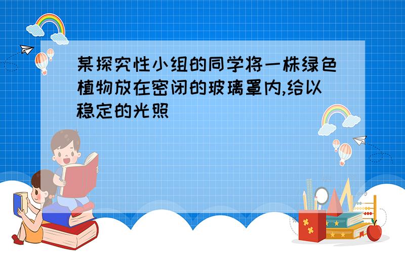 某探究性小组的同学将一株绿色植物放在密闭的玻璃罩内,给以稳定的光照