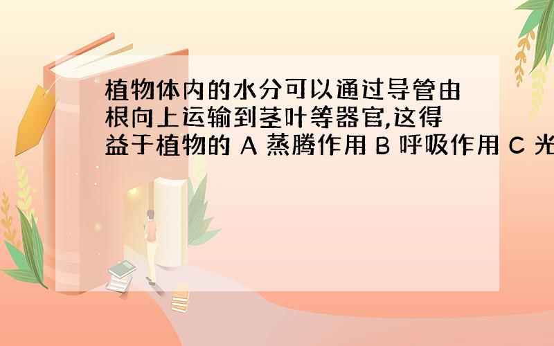 植物体内的水分可以通过导管由根向上运输到茎叶等器官,这得益于植物的 A 蒸腾作用 B 呼吸作用 C 光合作用